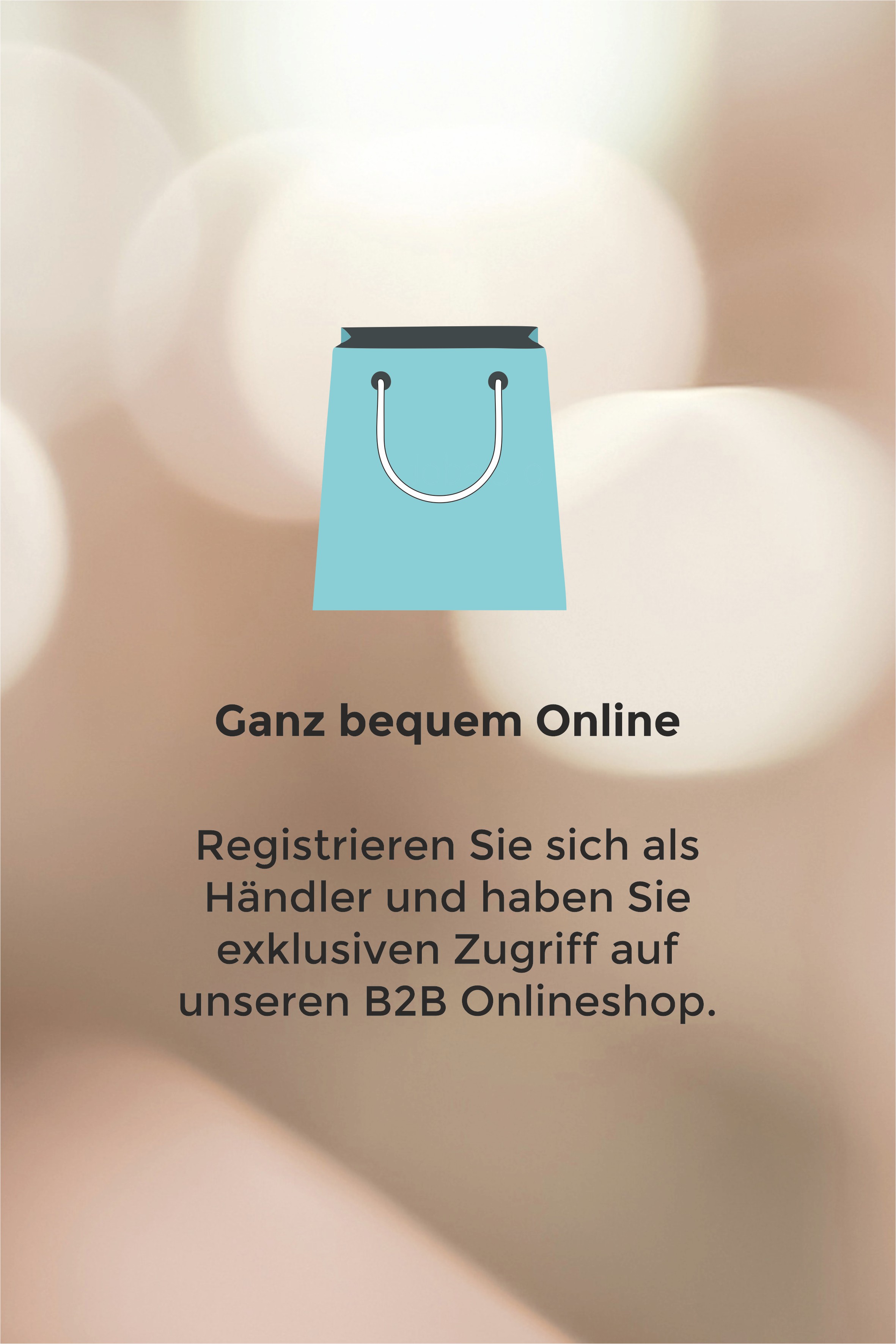 Ganz bequeme Online Registrieren Sie sich als Händler und haben Sie exklusiven Zugriff auf unseren B2B Onlineshop.