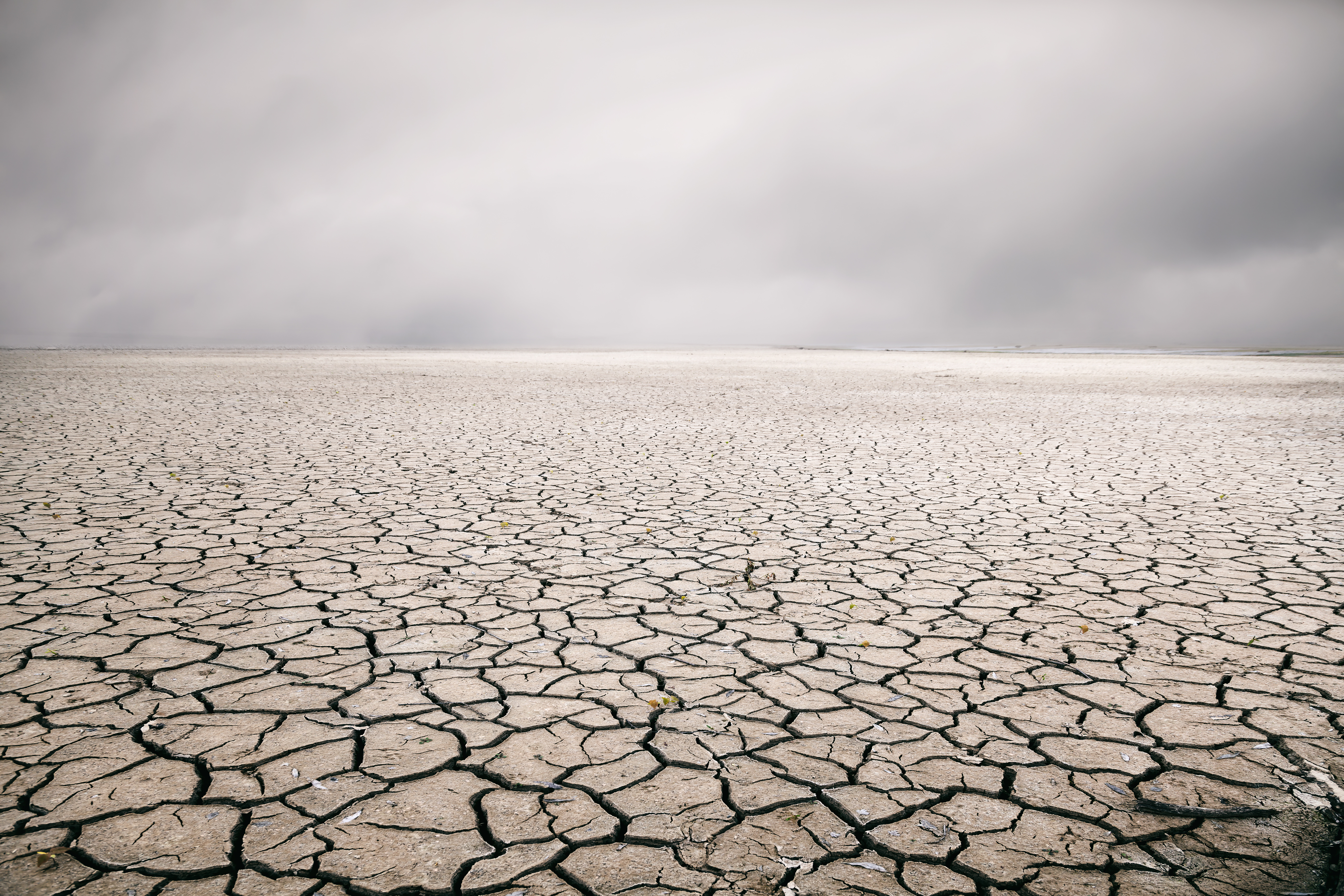 Ausgetrockneter Wüstenboden der aufgerissen ist. Der Himmel ist bedeckt als würde es bald regnen.