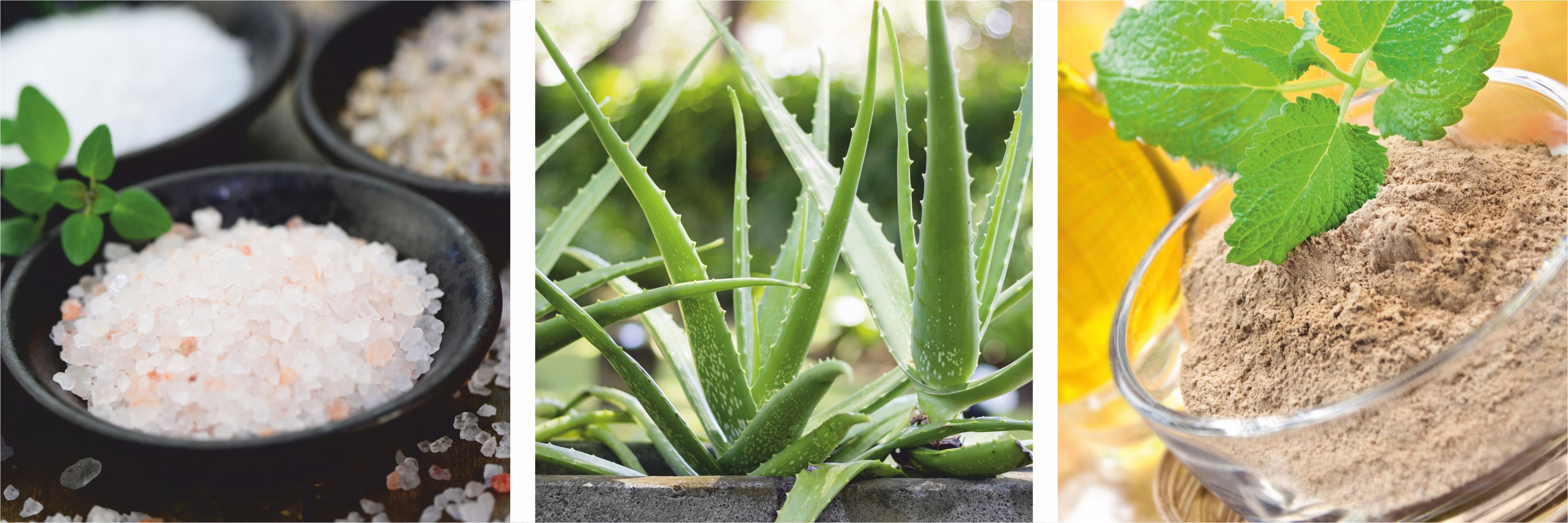 Zutaten Drei Bilder von Zutaten zur Seifenherstellung, darunter grobes Meersalz, Aloe Vera und Tonerde.