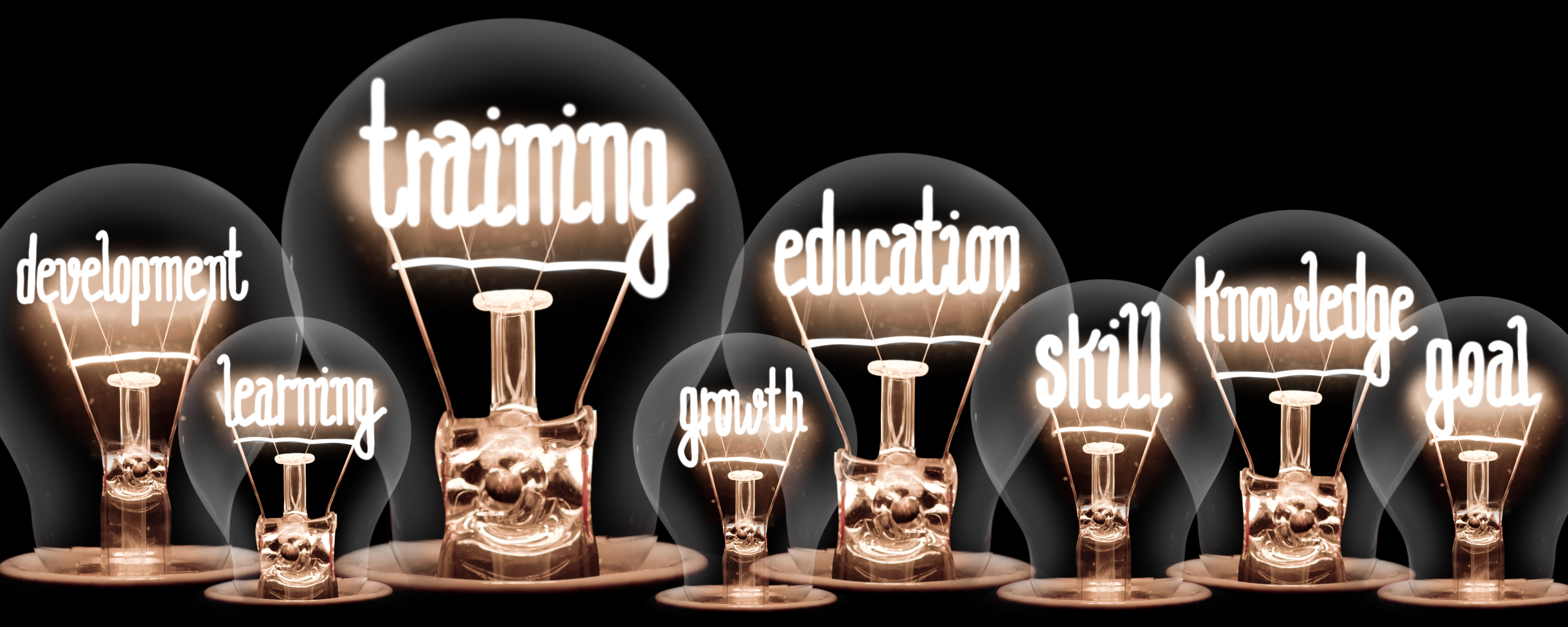 Glühbirnen Eine Gruppe von Glühbirnen mit den Worten Training, Bildung, Fähigkeit und Weiterbildung.